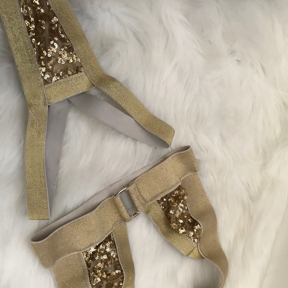 2 Piece Sheer Gold Sequined Exotic Dance outfit